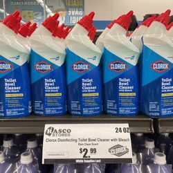 Clorox Disinfecting Toilet Bowl Cleaner With Bleach