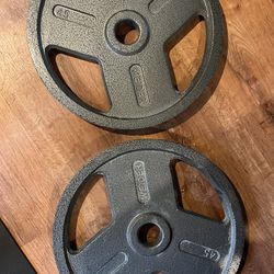 Set of 45 lb Olympic Weighs