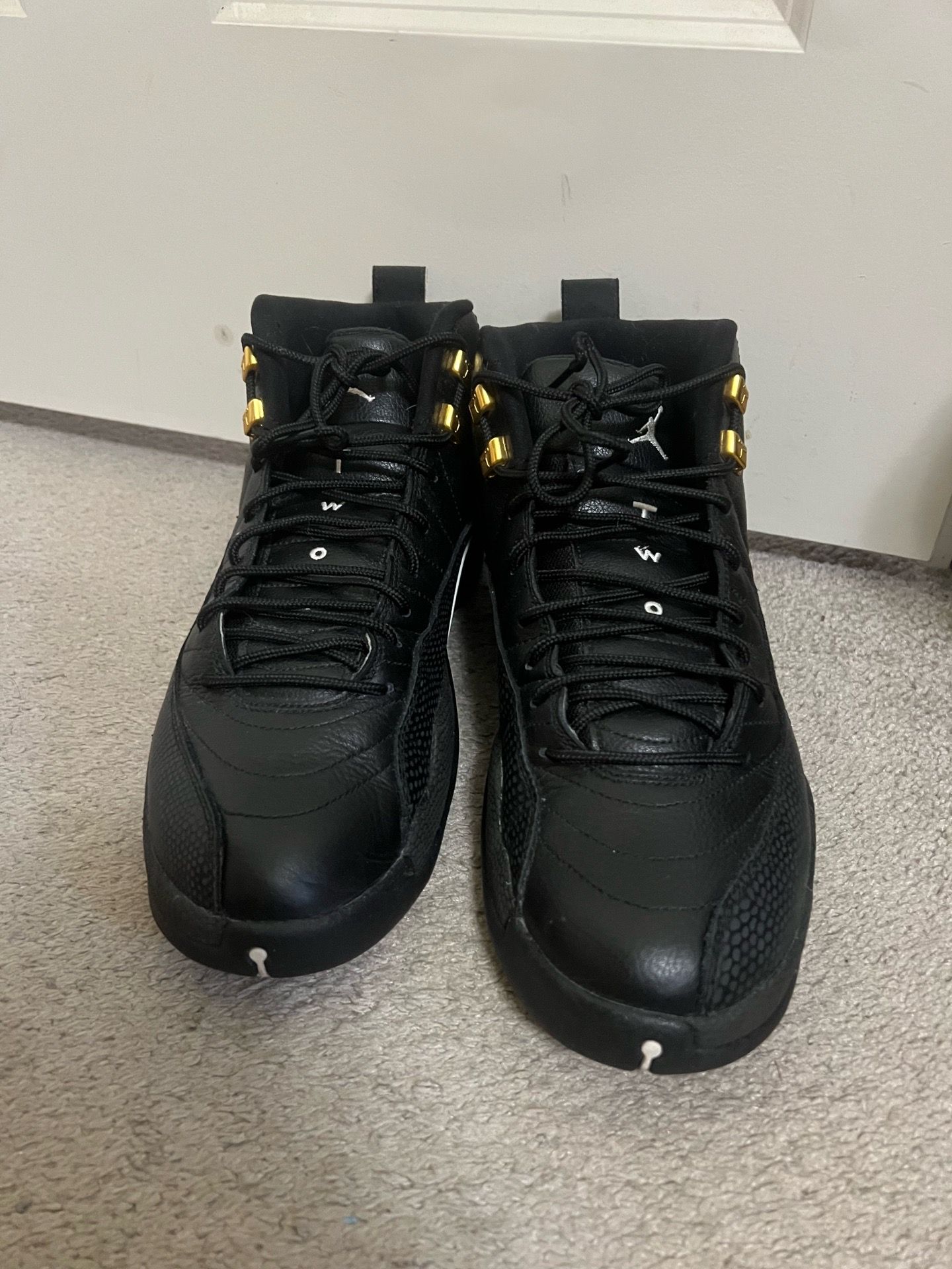 VNDS JORDAN 12 MASTER SIZE 10