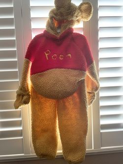 Winnie The Pooh Costume 