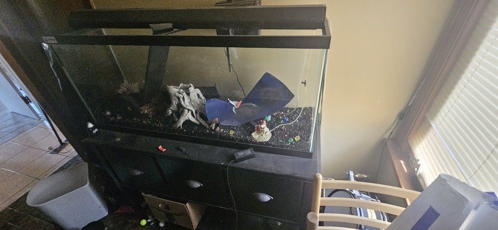 300 Gallon Fish Tank