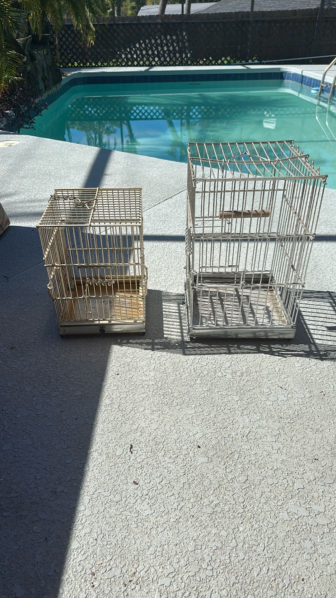 Bird Cages