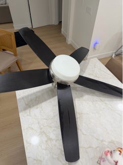 FAN(Hunter)