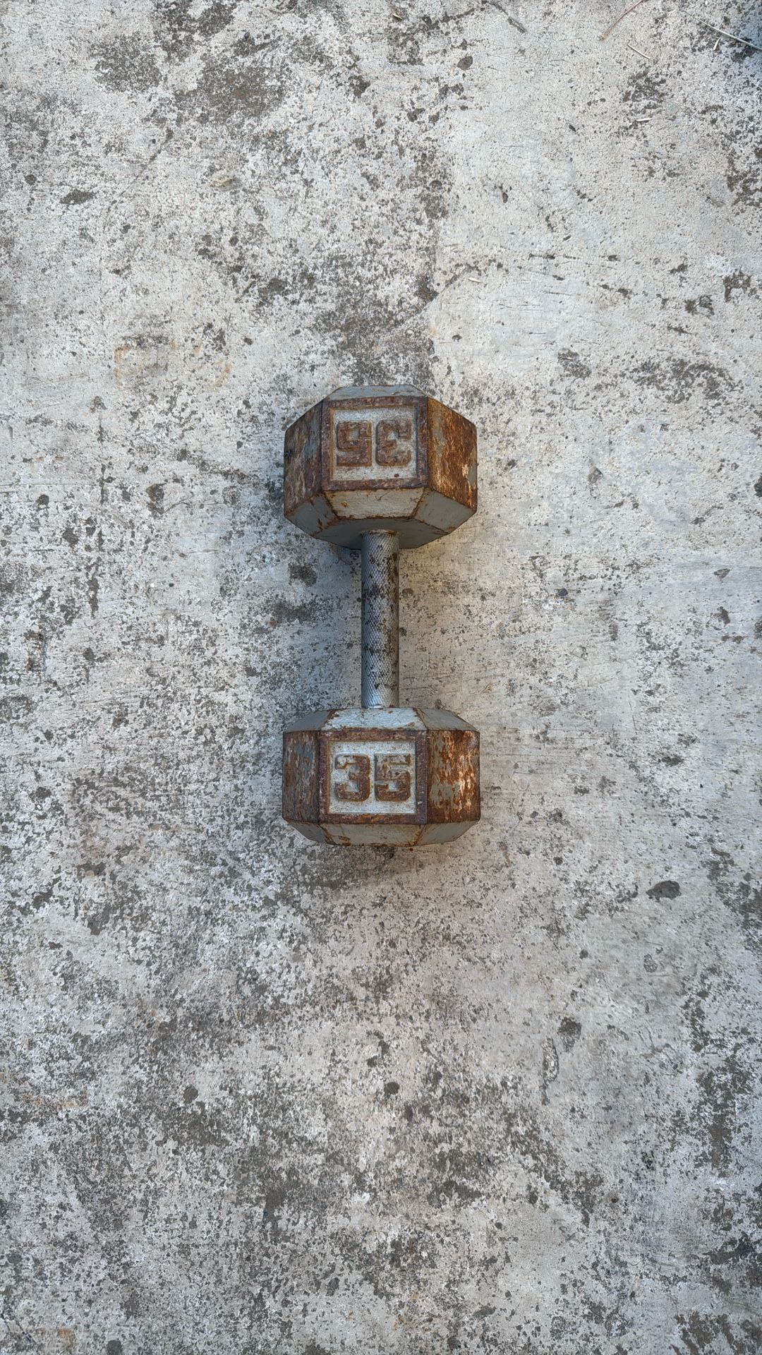 35lb Dumbbell