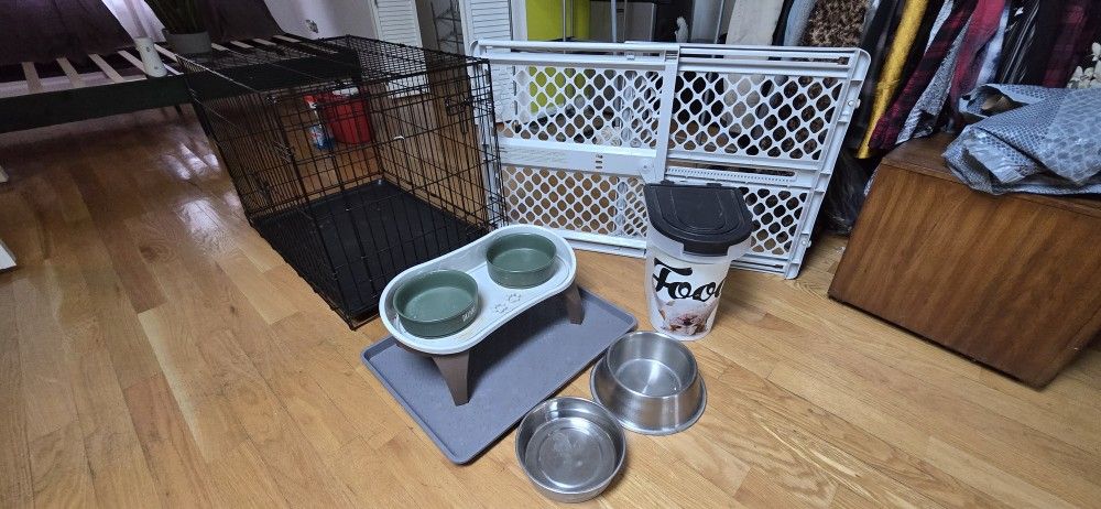 Kit Dog