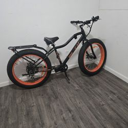 Big Cat Bike 