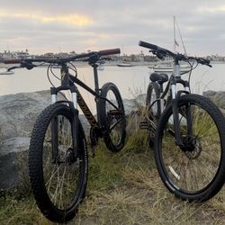 Socialized Mountain Bike 