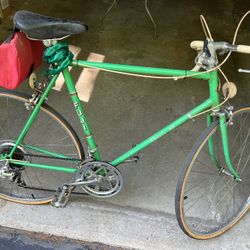 Fiji Sports 10 Bicycle