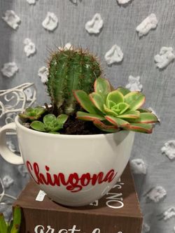 Succulent Mugs Custom