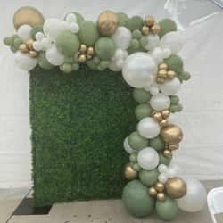 Balloon Backdrop