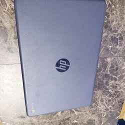 Hp Chromebook