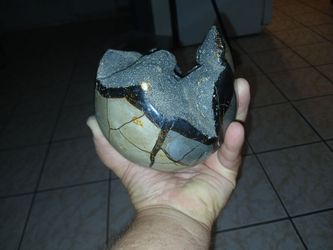 Natural Septarian "Dragon Egg" Geode