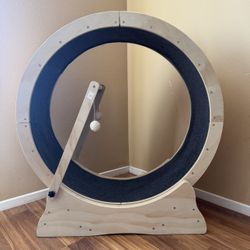 Cat Running Wheel 