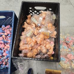 Babys For Baby Shower