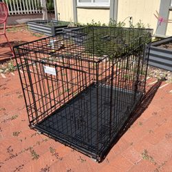 Large Dog Crate Double Door Foldable