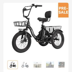 Eskute Electric Trike