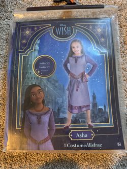 Asha Wish costume, toddler 3-4 size