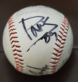 MLB Authentic 2009 Detroit Tigers Autographed Signed Team Baseball Spring Training Minor League Rookie Ball