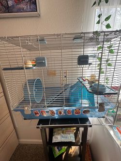 Hamster cage