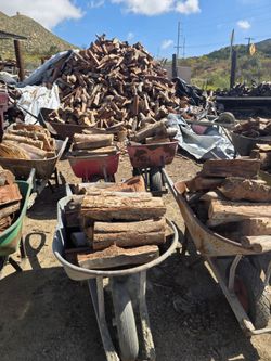 Firewood