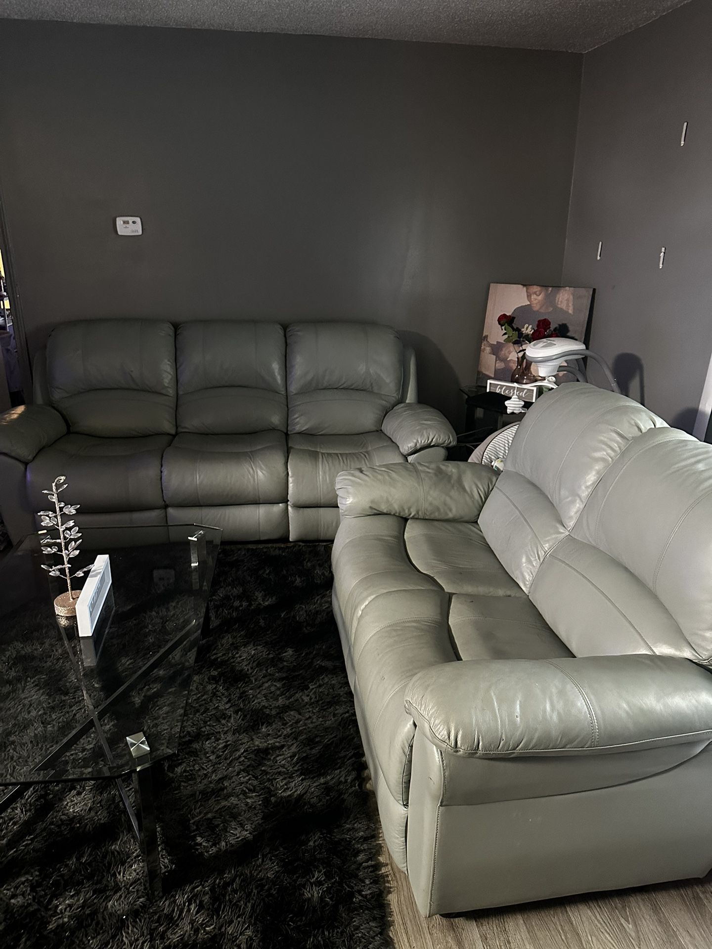 Mint Leather Couch Set 