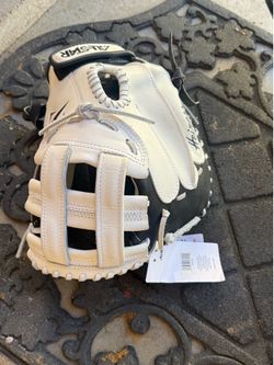 Catchers mitt
