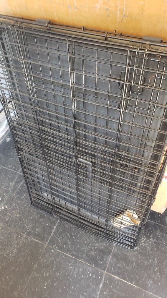 42 In Dog Crate
