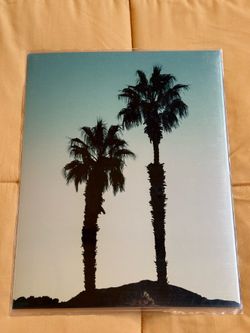 Palm Trees Silhouette Sunset Fine Art Photography Print