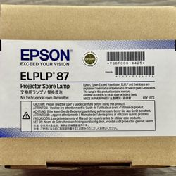Epson Projector Replacement Lamp and Air Filter