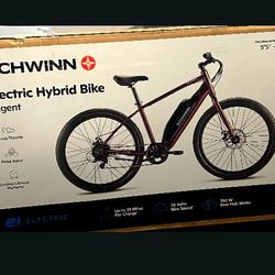 Electric E-bike