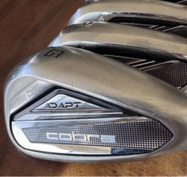 Cobra Golf 2025 DS Adapt Irons