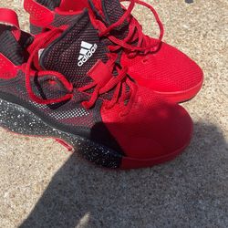 Derrick Rose 773