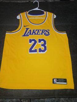 Authentic LeBron James