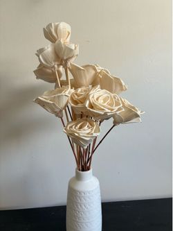 Sola flowers