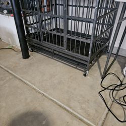 Dog Cage 