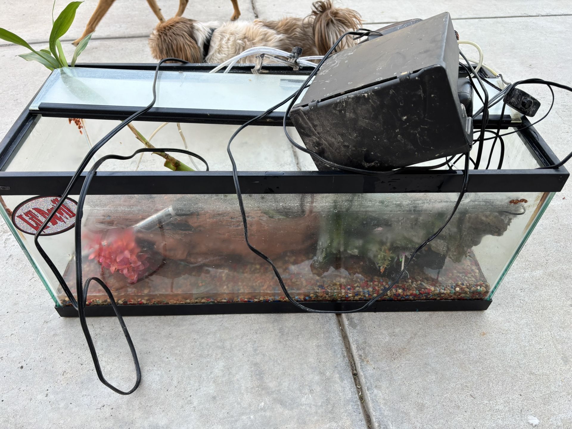 Fish Tank And accessories
