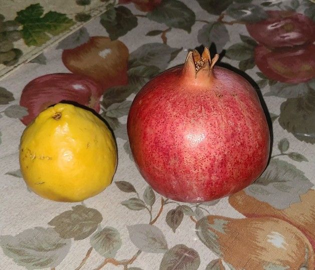 Hi everyone I have large Organic Pomegranates 5 For $10