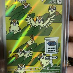 Pidgey