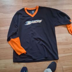 Anaheim ducks