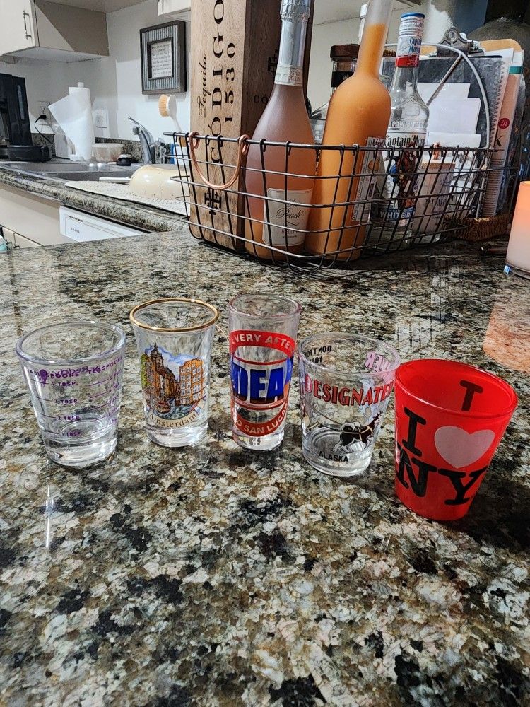 Set of 5 Glass Shot Glasses