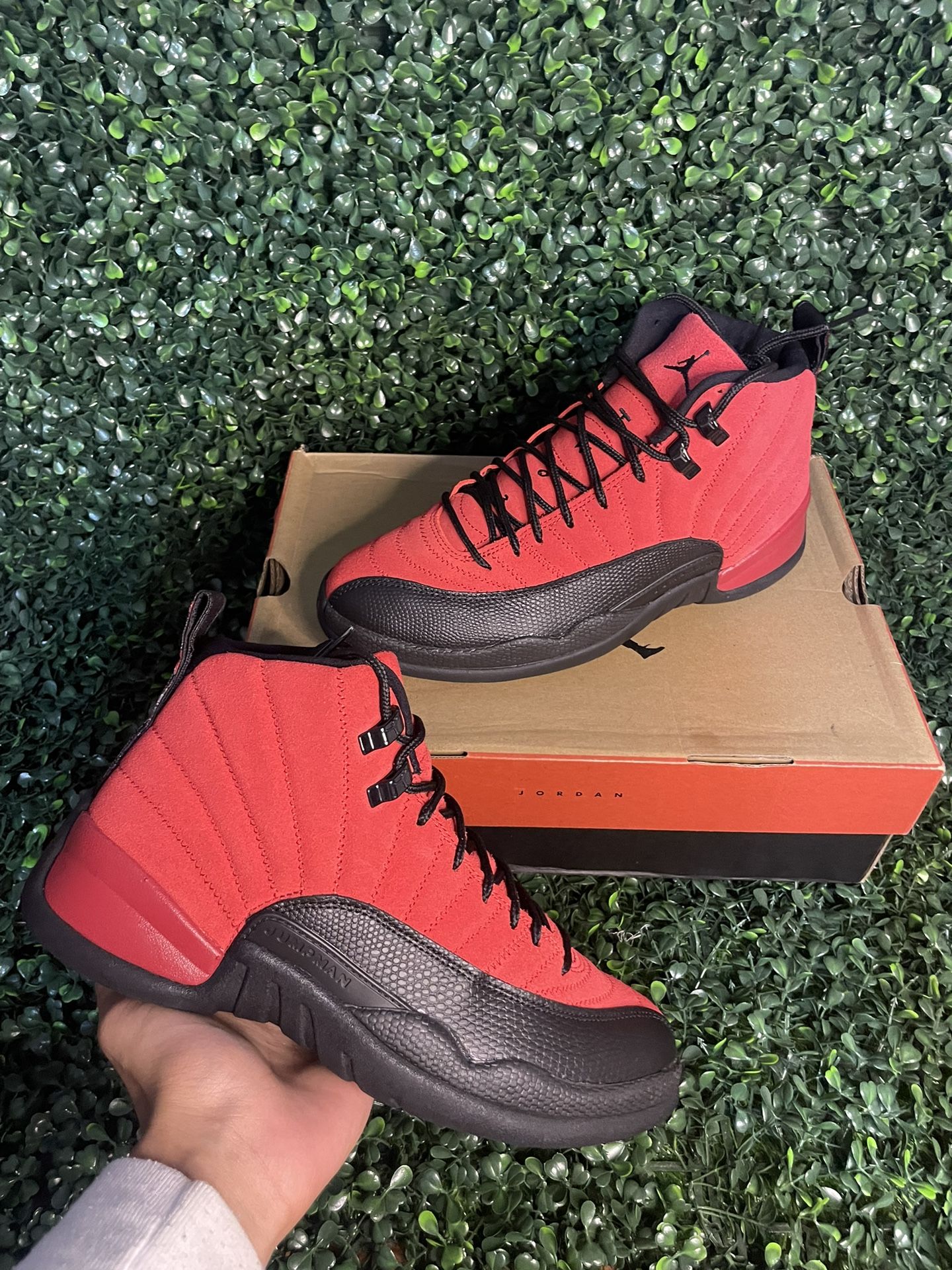 Jordan 12 Reverse Flu Game