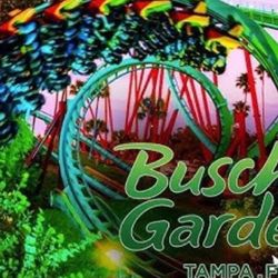 Tickets For $45 Or 2 For $80! Or 3 For $100 Theme Park 