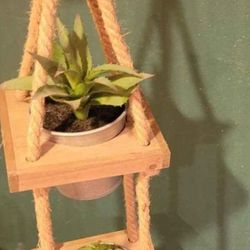 Rope Plant Hanger With Plants