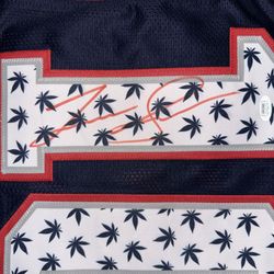 Autographed And Authenticated Pro Jerseys