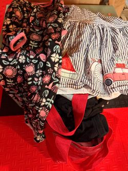 Free!!! Baby Girl clothes 9- 12 months