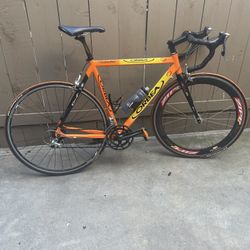 Orbea Road Bike 