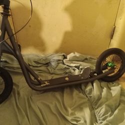 Mongoose scooter