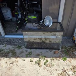10 Gallon Terrarium 
