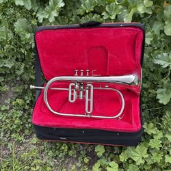 Beautiful 😻 Flugelhorn
