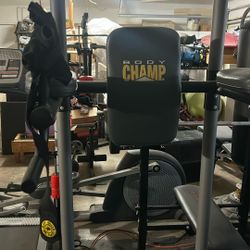 Body Champ 5-in-1 Power Tower 